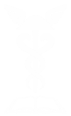 cropped-logo_on_dark-1.png